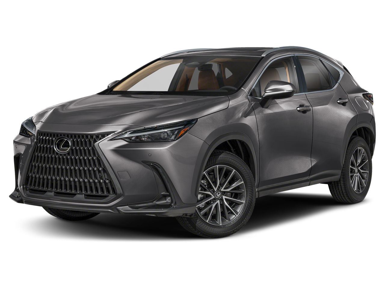 2025 Lexus NX