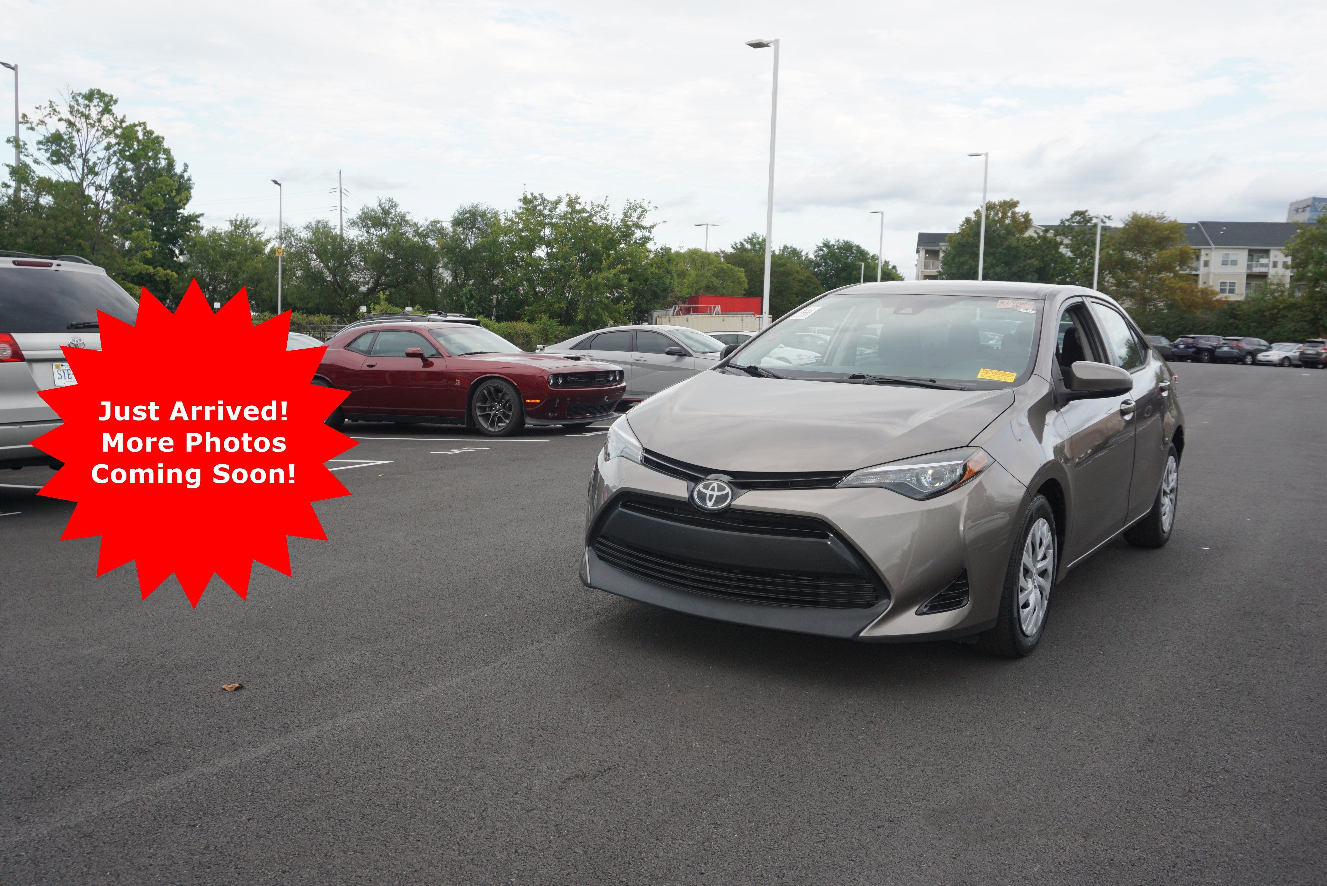 2019 Toyota Corolla LE
