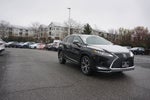 2022 Lexus RX RX 350