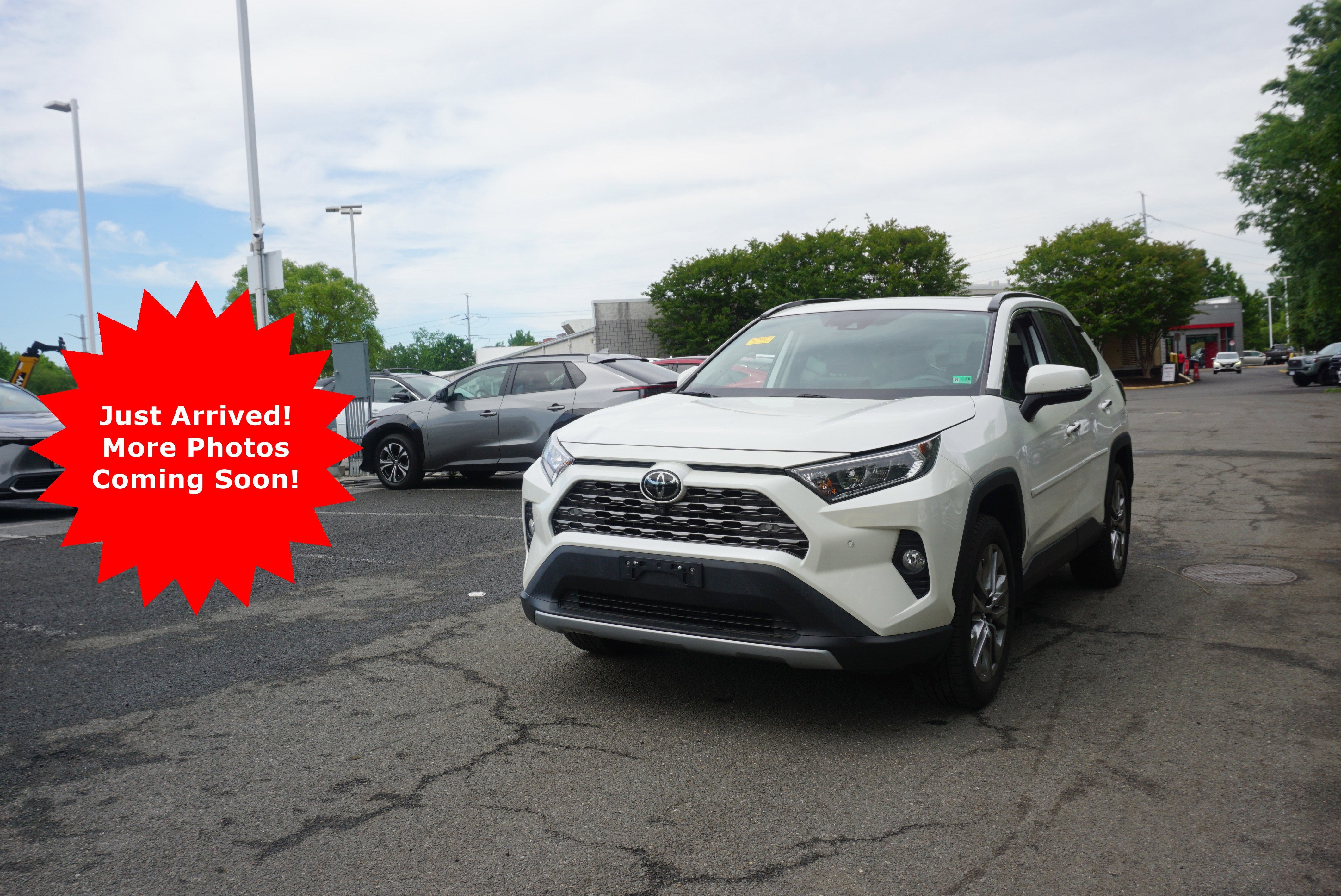 2019 Toyota RAV4 Limited