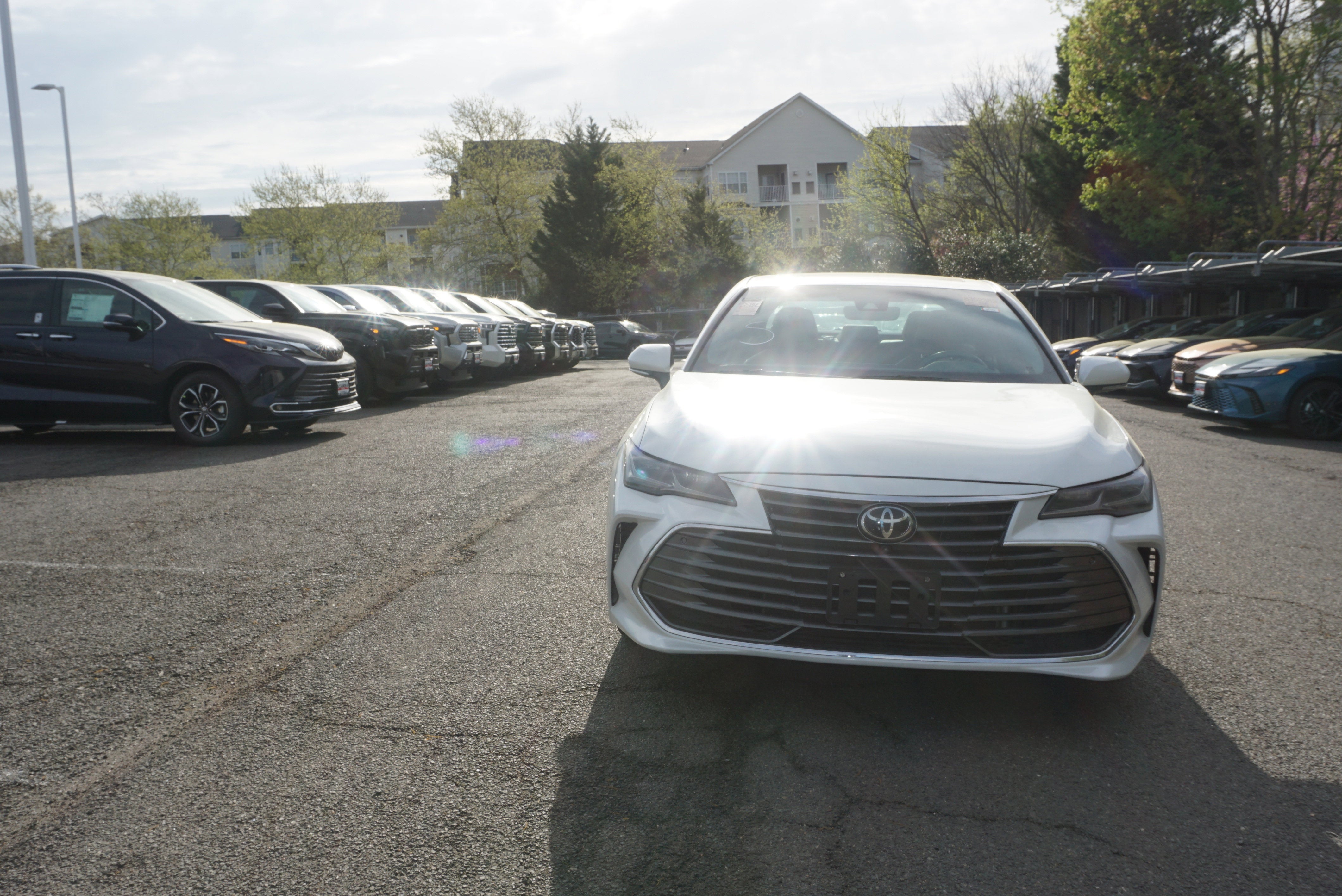 2019 Toyota Avalon Limited