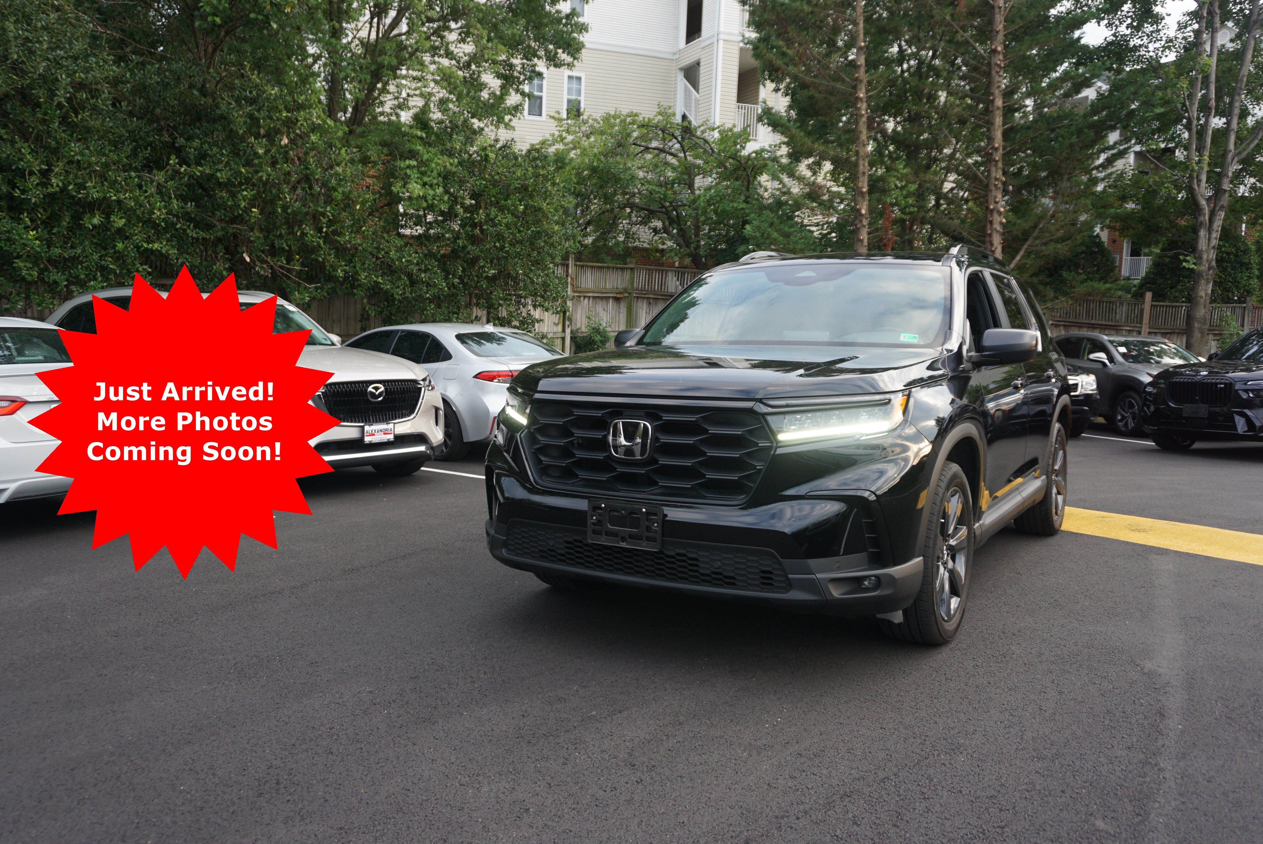 2025 Honda Pilot Sport