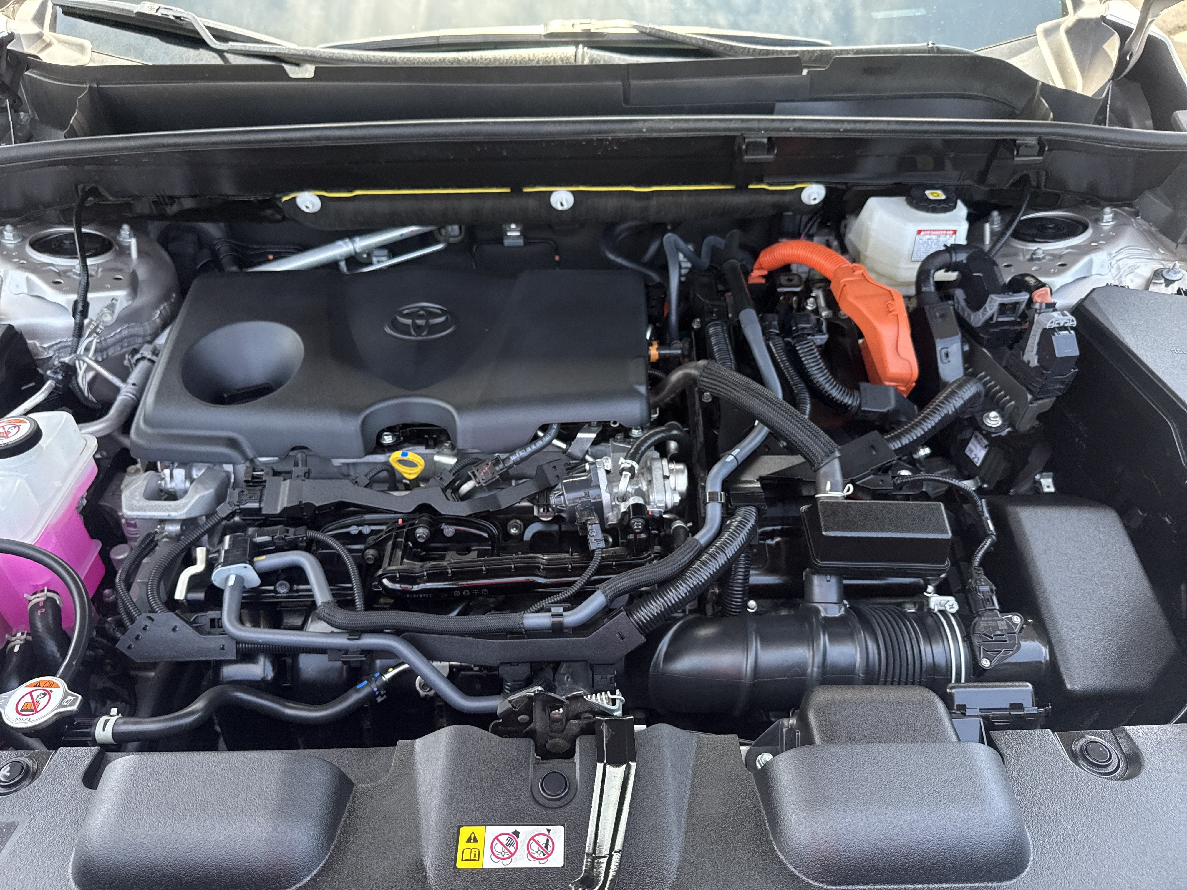 2024 Toyota Venza XLE