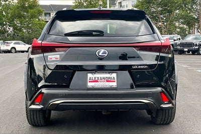 2022 Lexus UX UX 250h F SPORT