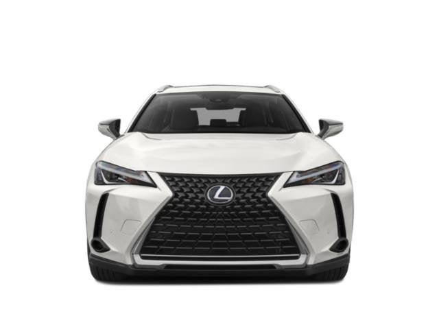 2019 Lexus UX UX 250h