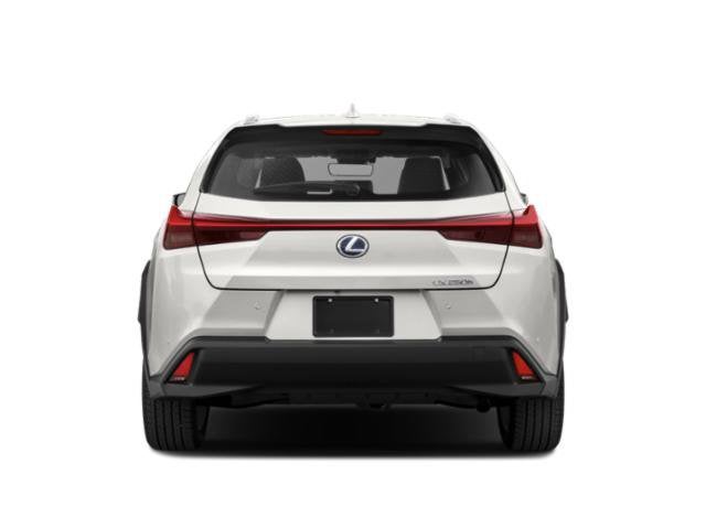 2019 Lexus UX UX 250h