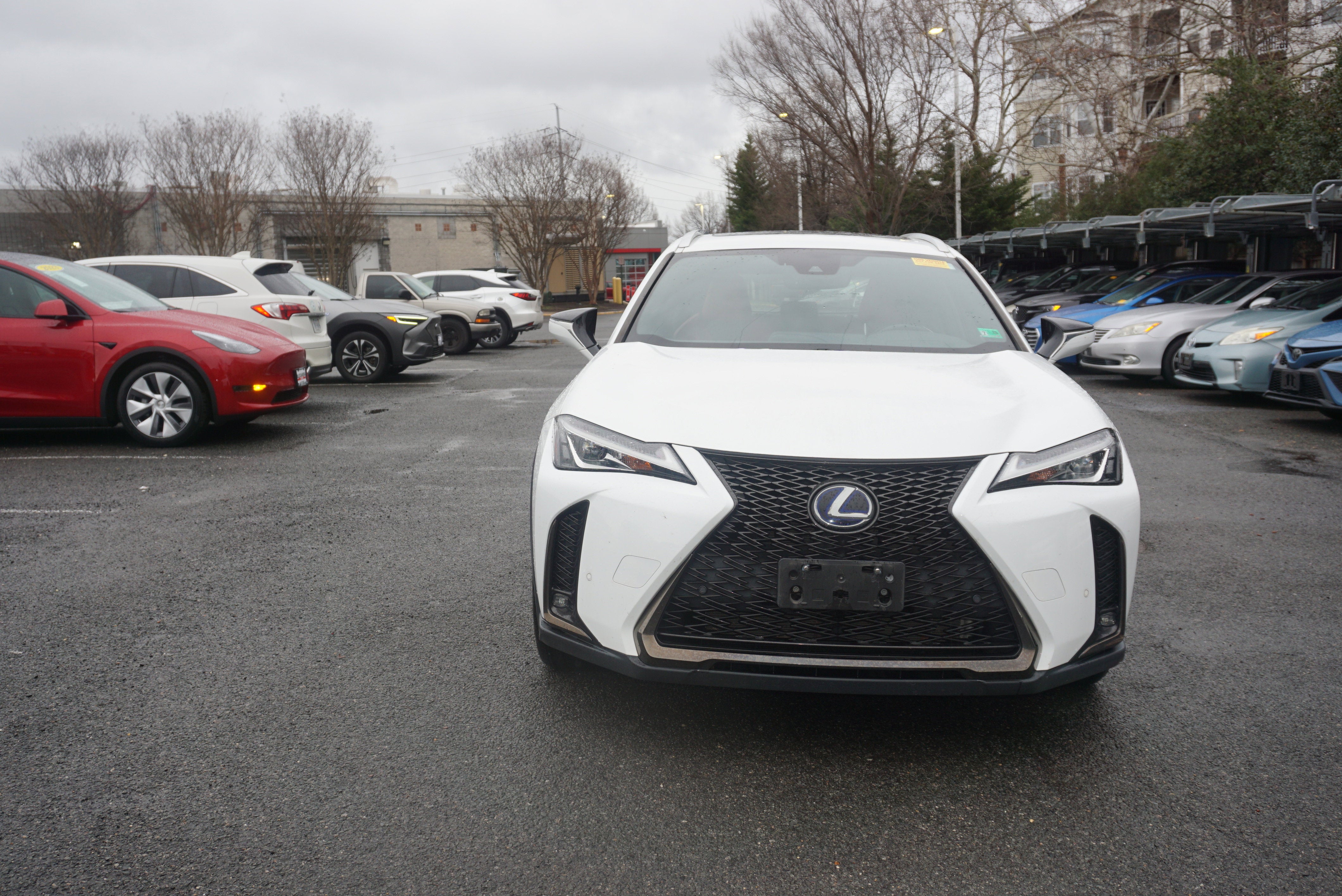 2019 Lexus UX UX 250h