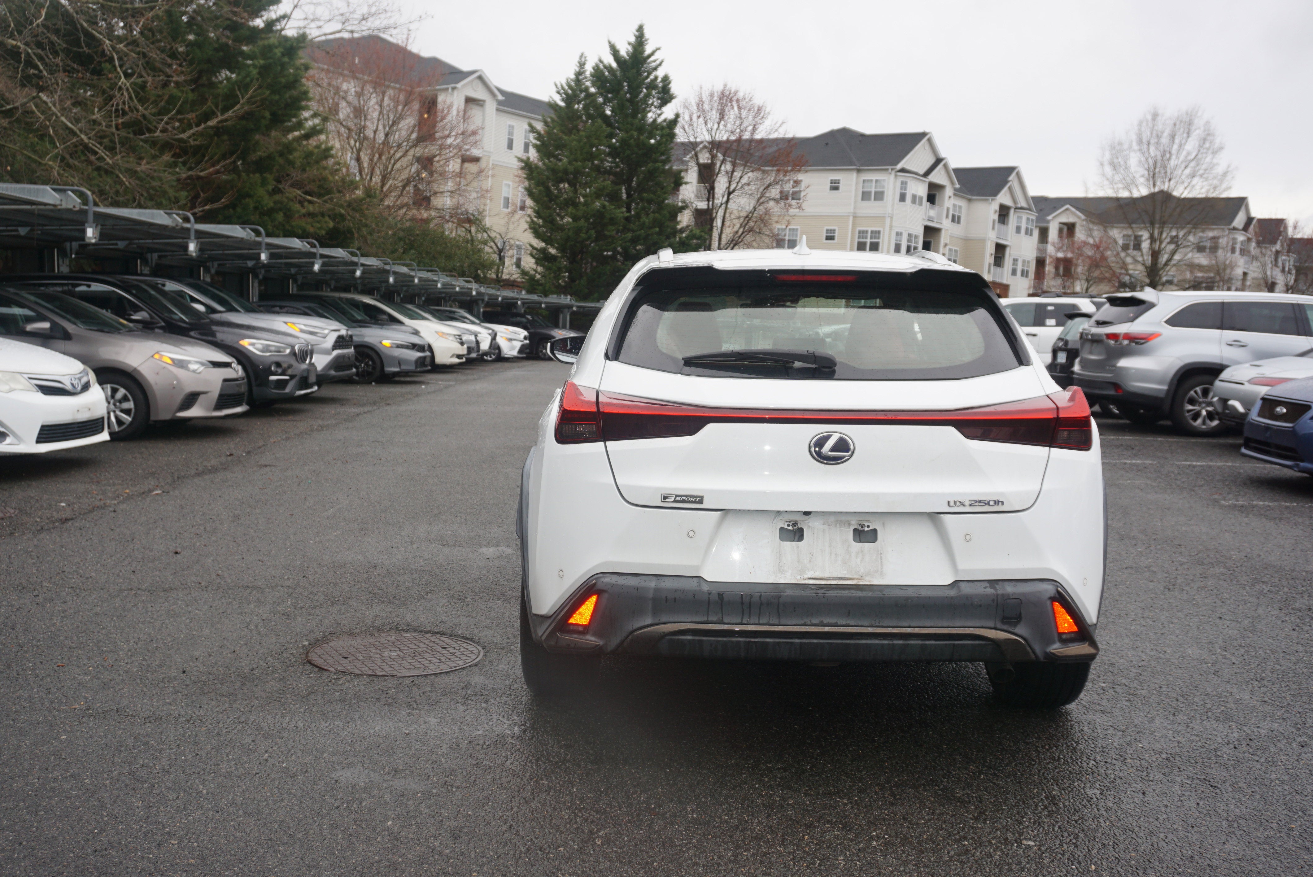 2019 Lexus UX UX 250h