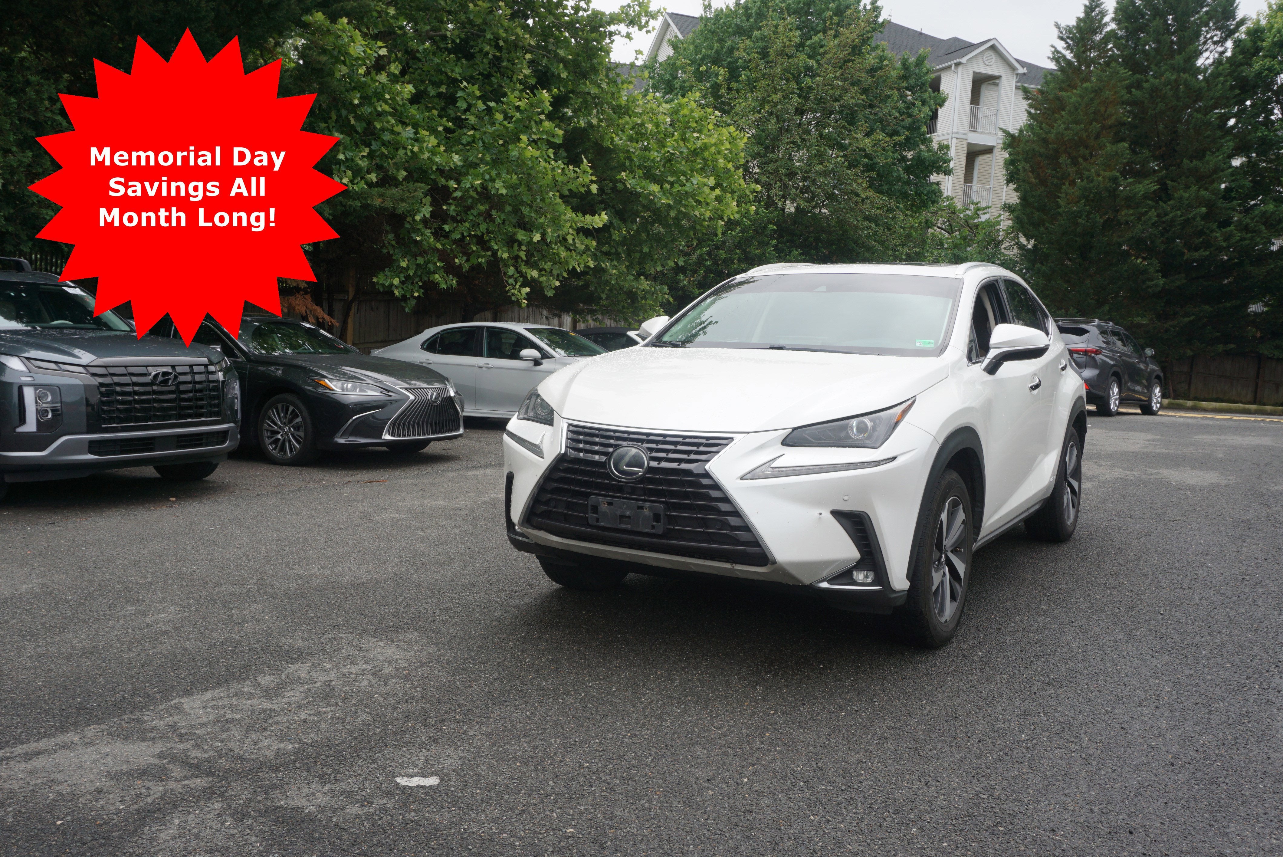 2019 Lexus NX NX 300h