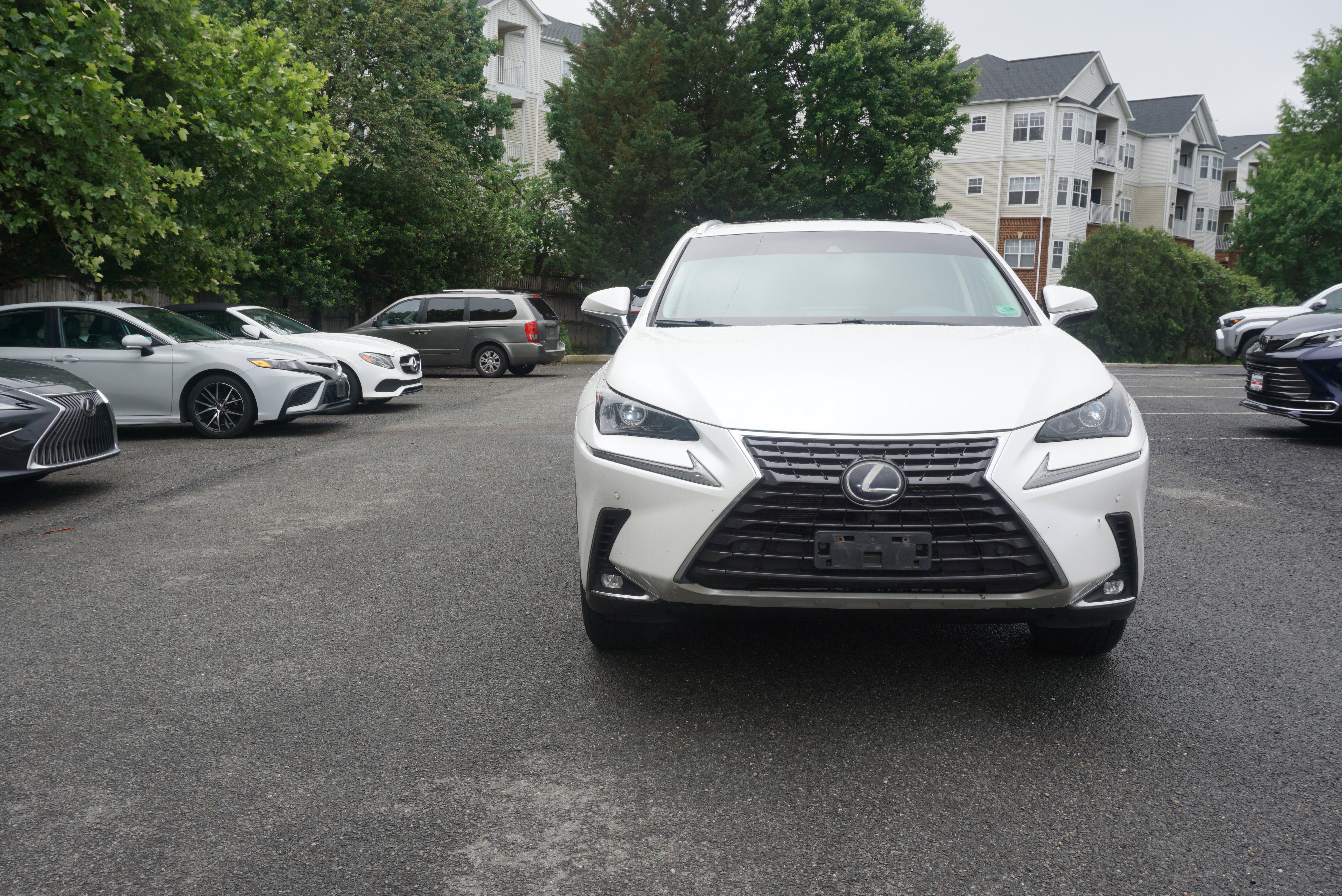 2019 Lexus NX NX 300h