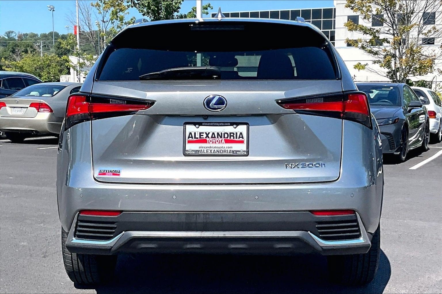 2020 Lexus NX NX 300h