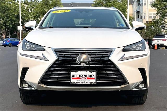 2020 Lexus NX NX 300 Luxury