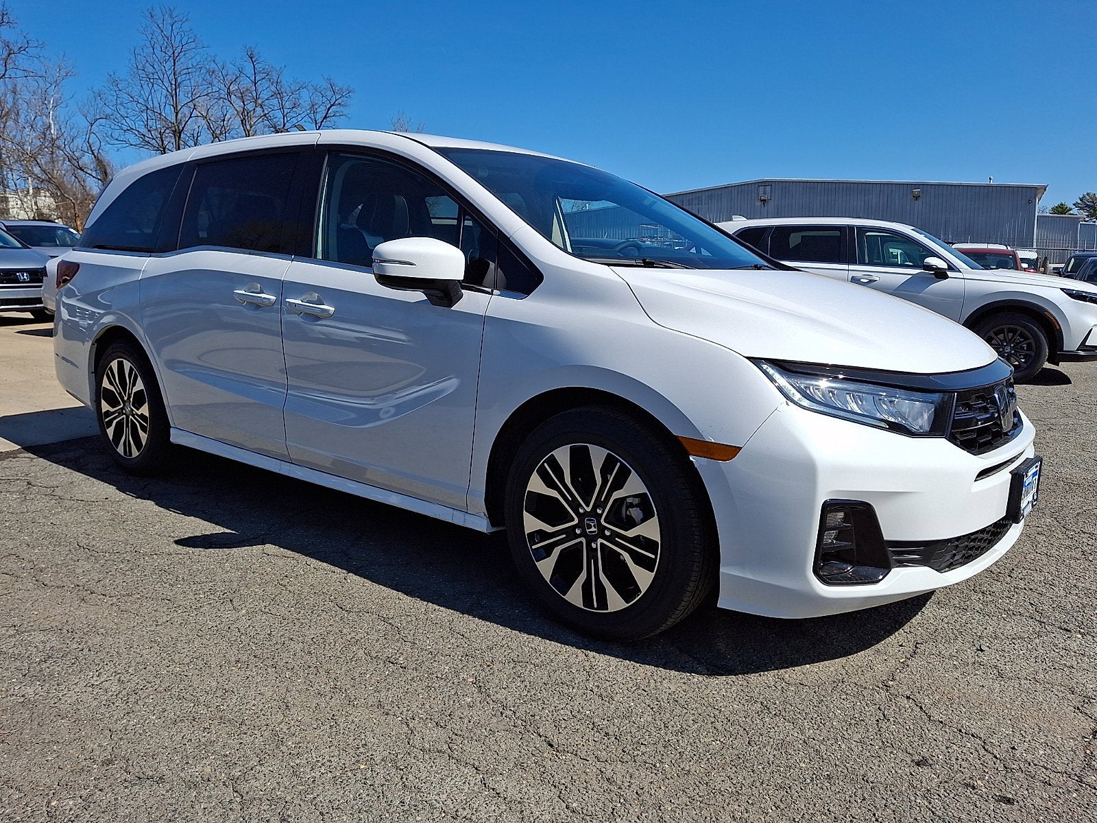 2026 Honda Odyssey Elite