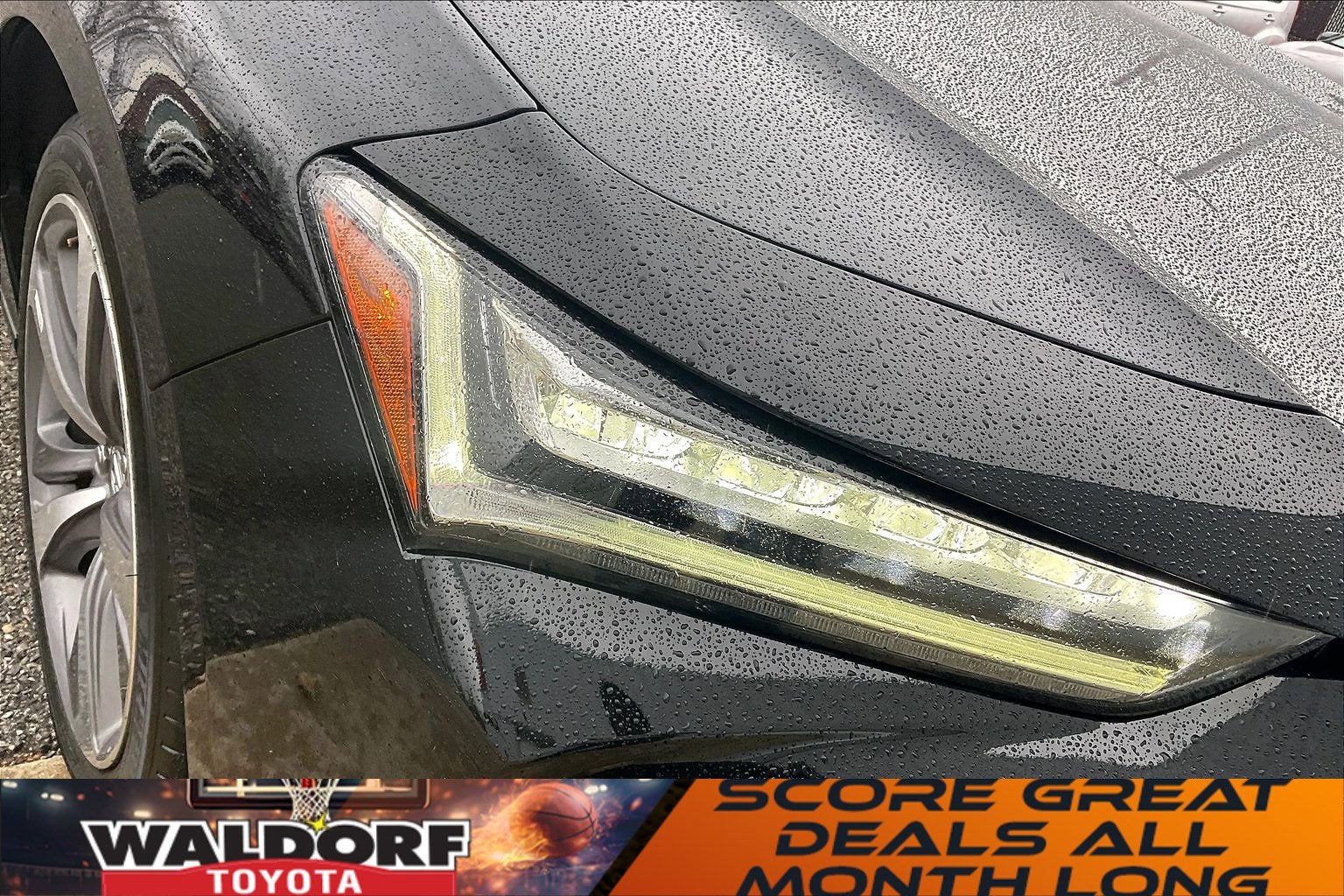 2023 Acura TLX w/Advance Package