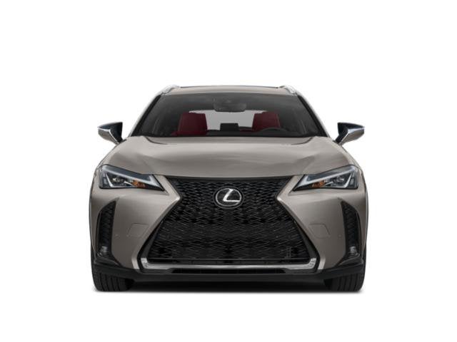 2019 Lexus UX 200 F SPORT