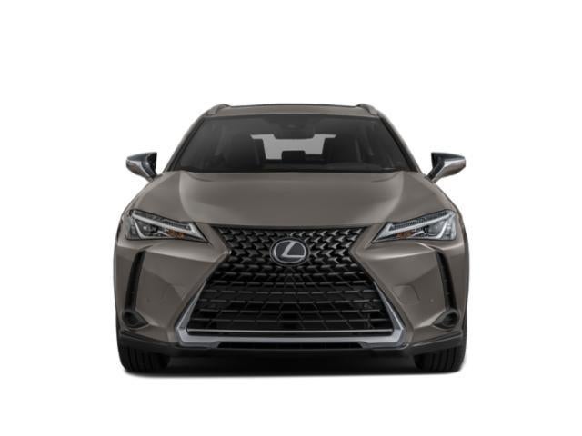 2019 Lexus UX 200 F SPORT
