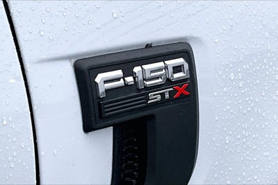 2022 Ford F-150 XL STX CUSTOM TRUCK