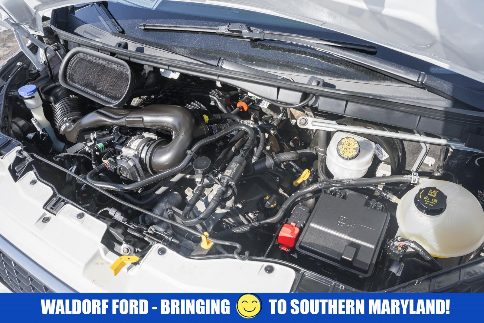 2024 Ford Transit Passenger Wagon 350