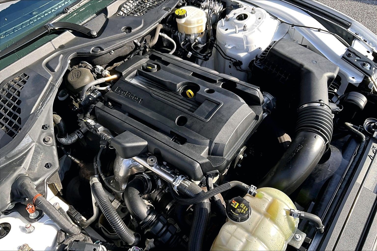 2020 Ford Mustang EcoBoost Premium Fastback